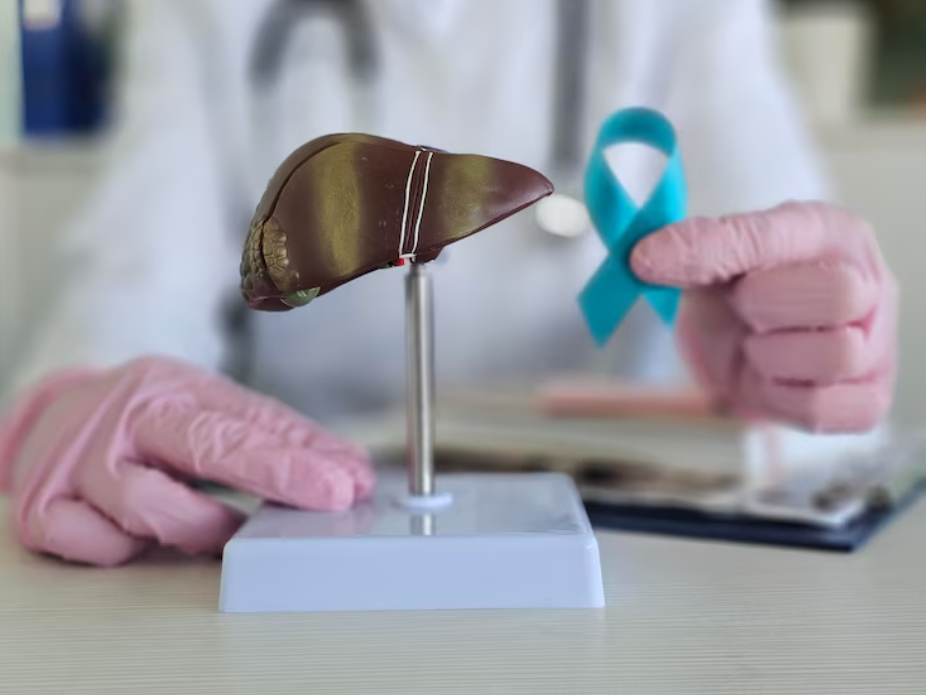 Liver Test